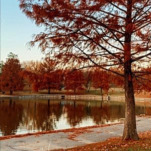 Meet your Posher, Shahsiya